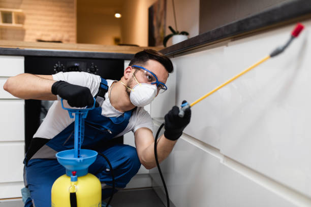 Best Affordable Pest Control Services  in Winner, SD