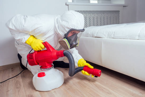 Best Flea Control Services  in Winner, SD