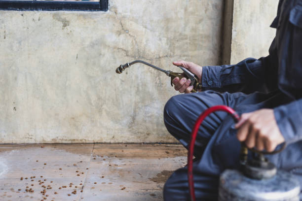 Best Best Pest Control Companies  in Winner, SD